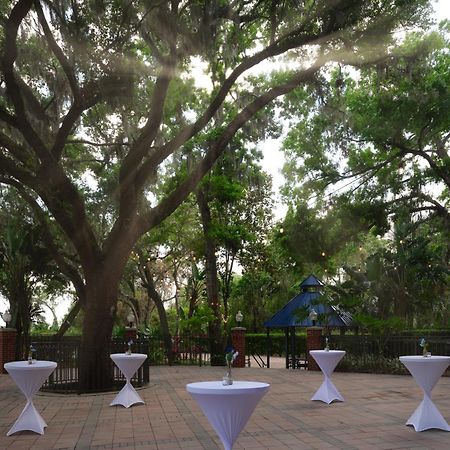 Hilton Garden Inn Tampa East Brandon Mango Zewnętrze zdjęcie