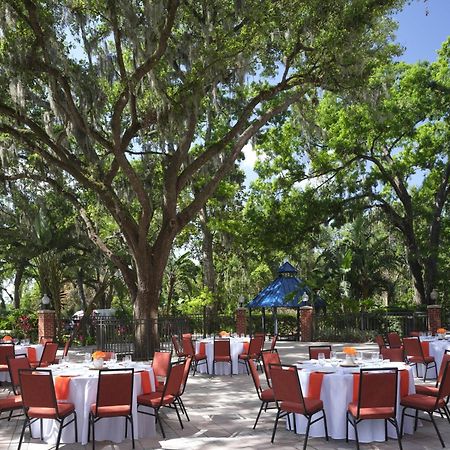Hilton Garden Inn Tampa East Brandon Mango Zewnętrze zdjęcie