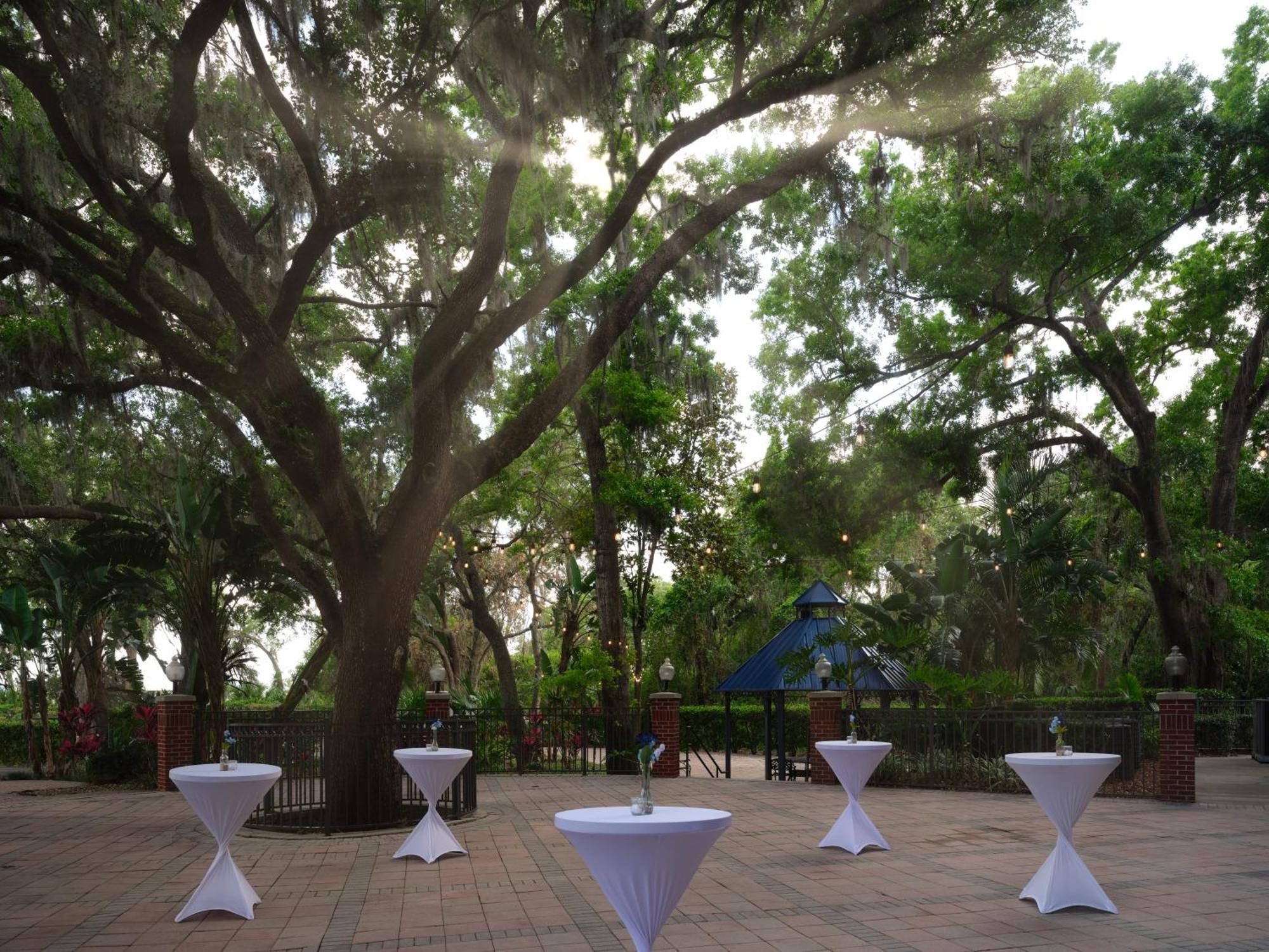 Hilton Garden Inn Tampa East Brandon Mango Zewnętrze zdjęcie