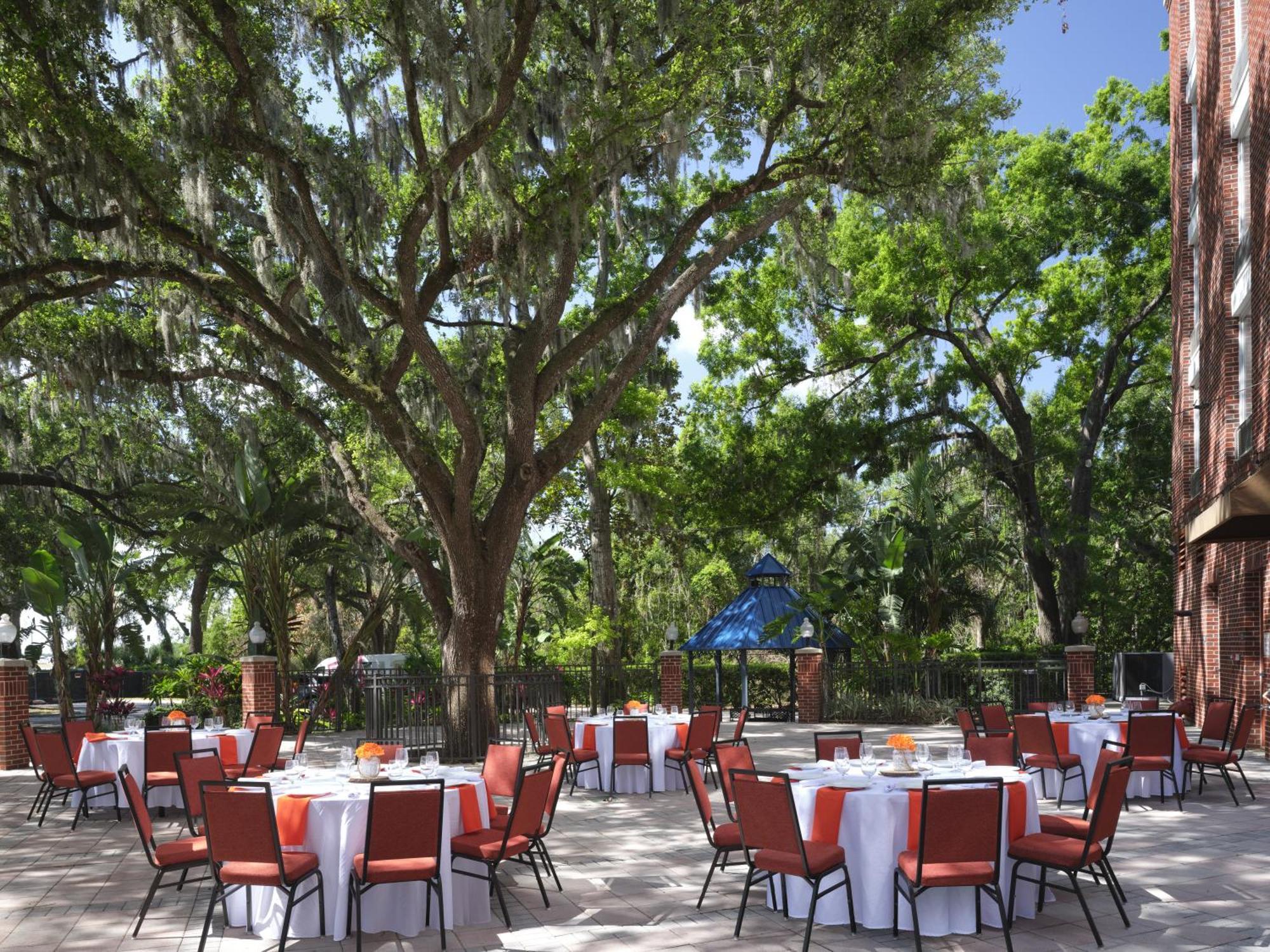 Hilton Garden Inn Tampa East Brandon Mango Zewnętrze zdjęcie