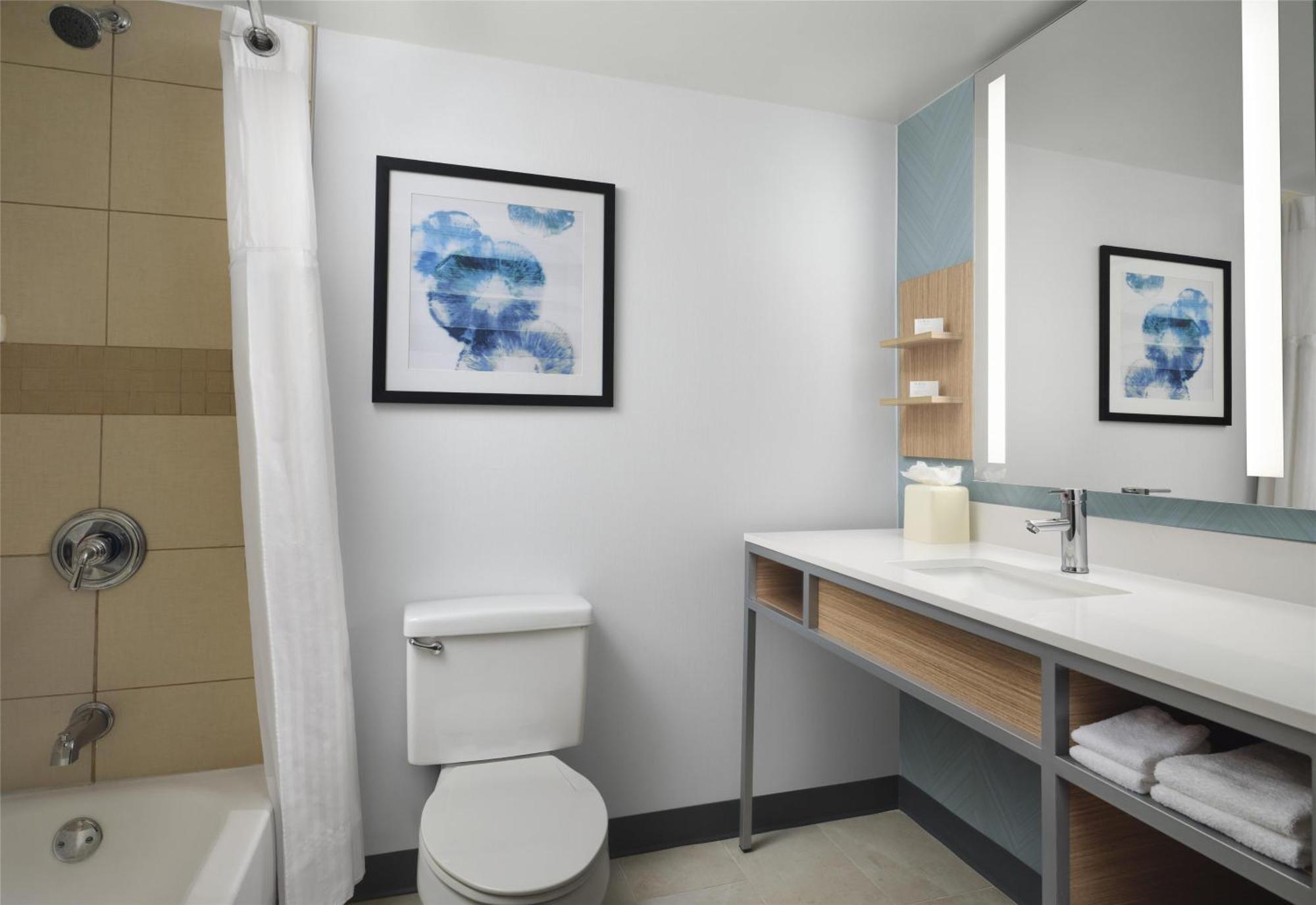 Hilton Garden Inn Tampa East Brandon Mango Zewnętrze zdjęcie