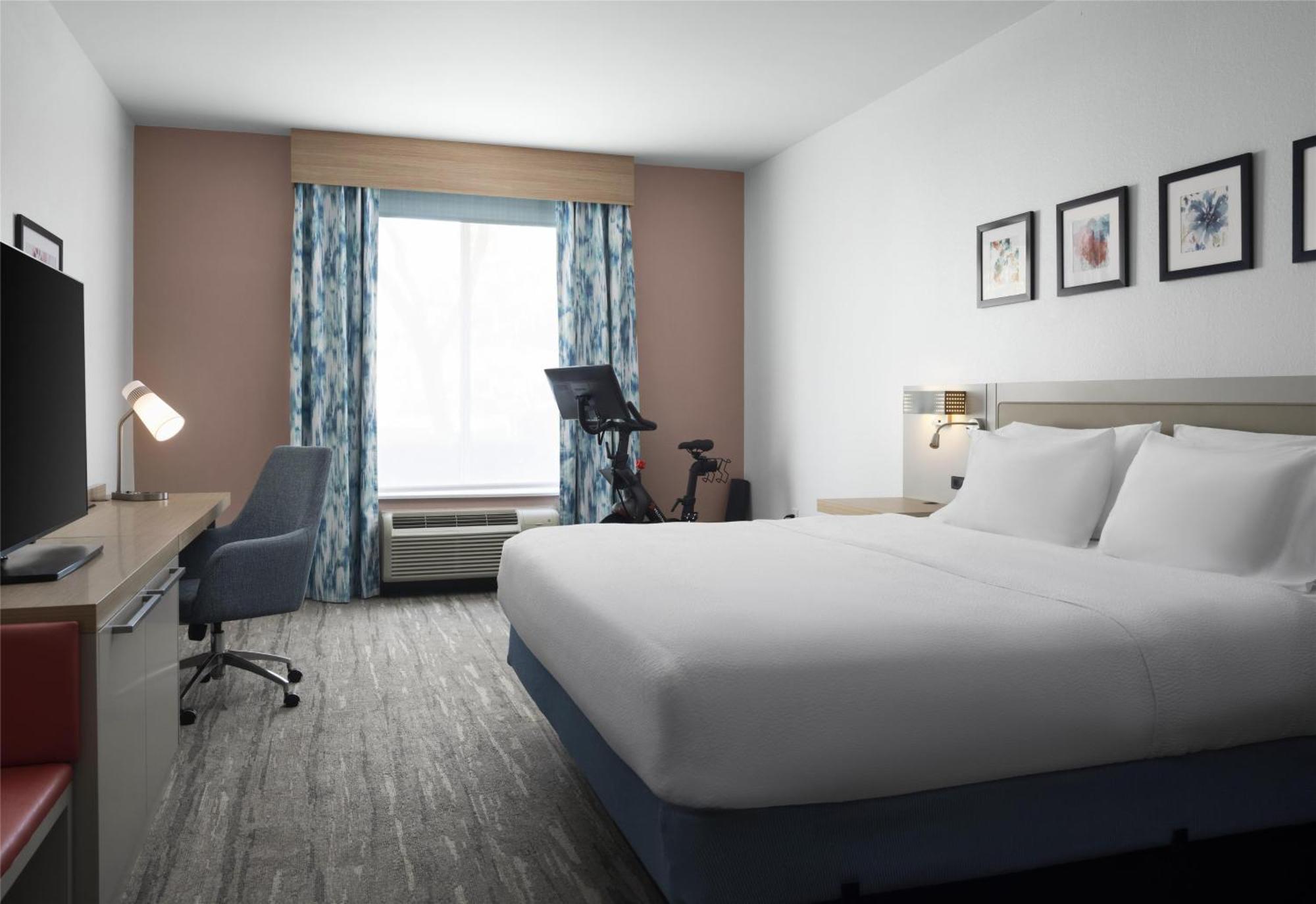 Hilton Garden Inn Tampa East Brandon Mango Zewnętrze zdjęcie