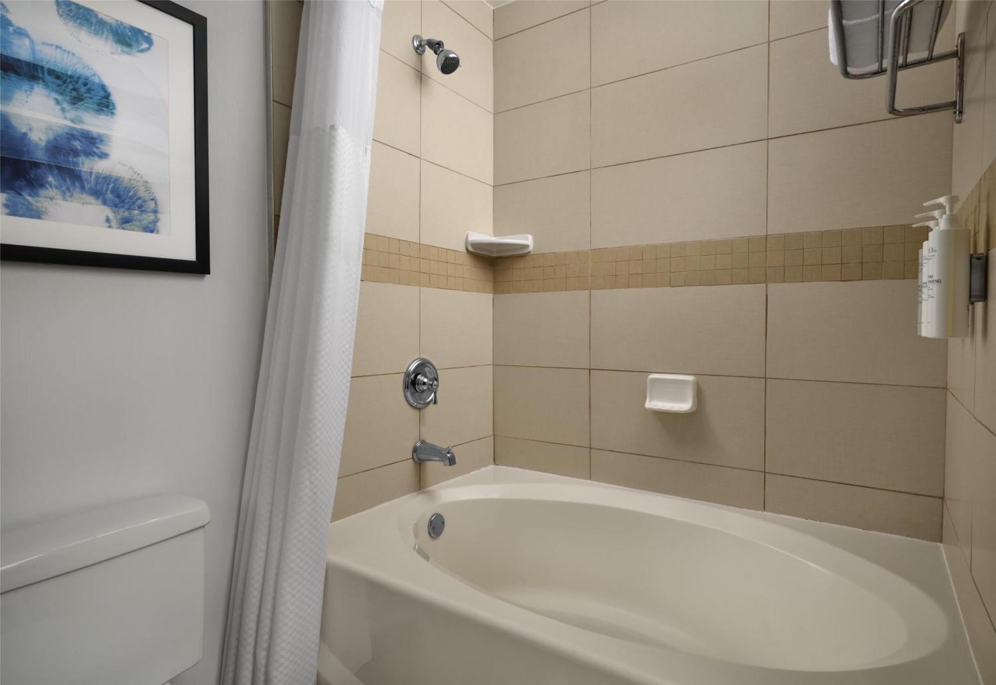 Hilton Garden Inn Tampa East Brandon Mango Zewnętrze zdjęcie